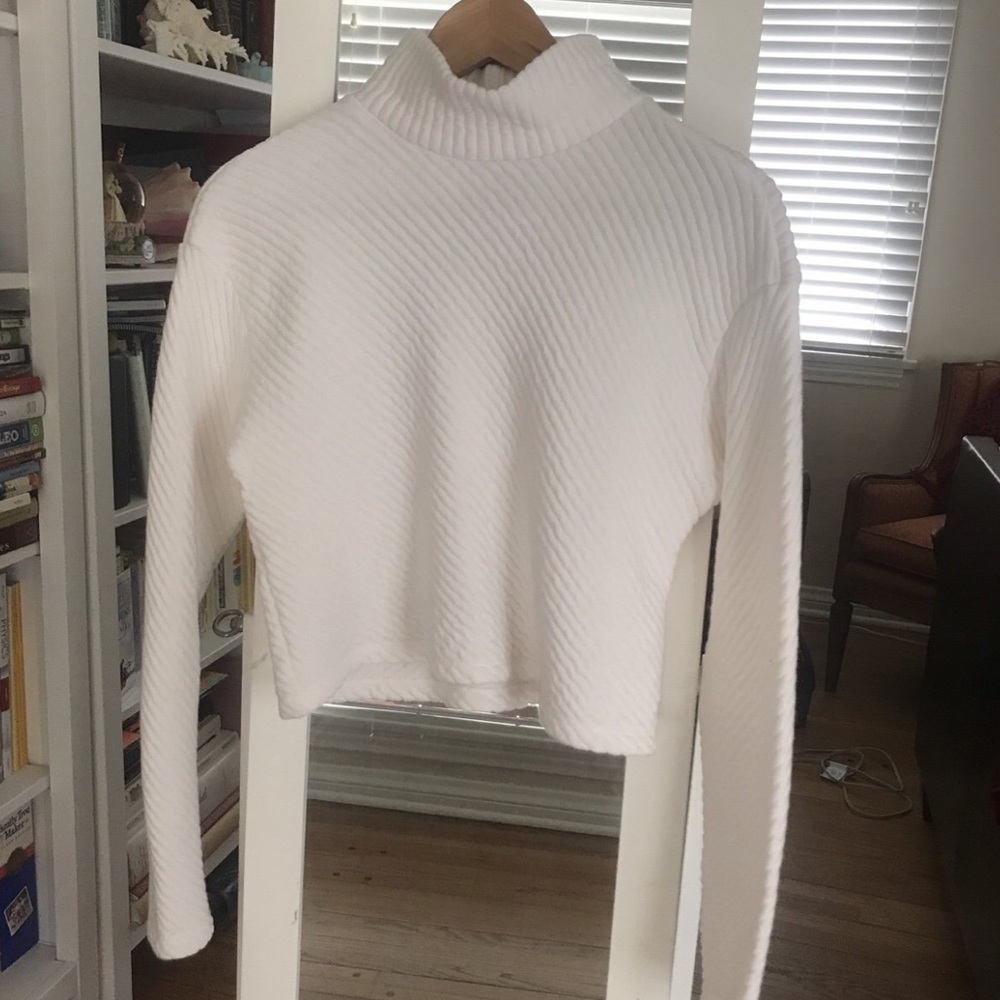 Turtleneck Crop Top Sweater